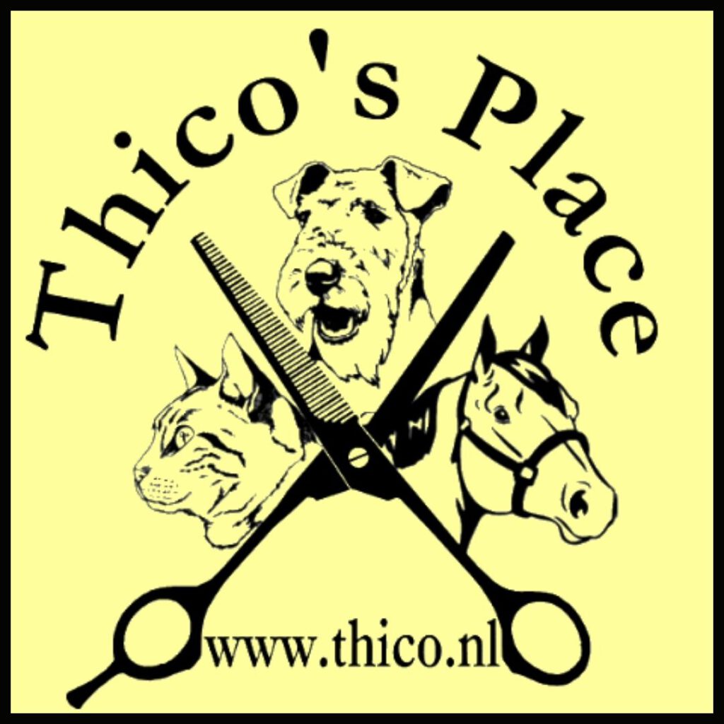 Logo Thico